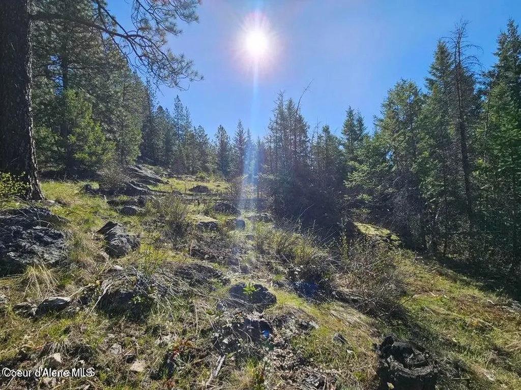 Nna N Sunset Hill Road Athol ID 83801