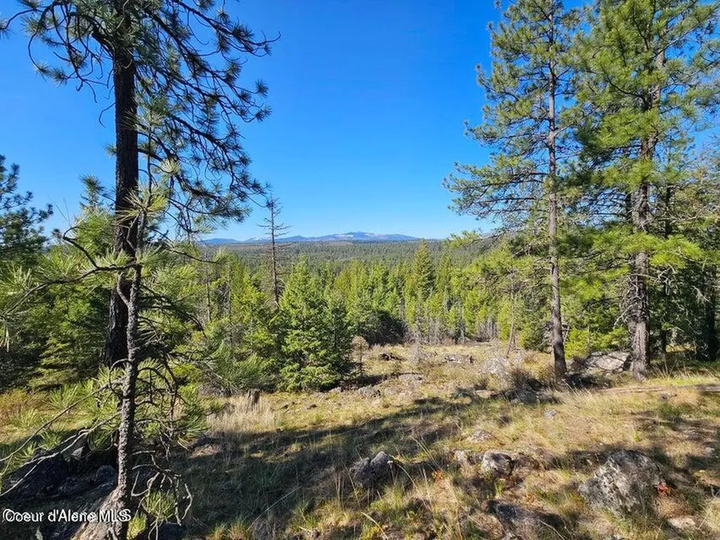 Nna N Sunset Hill Road Athol ID 83801