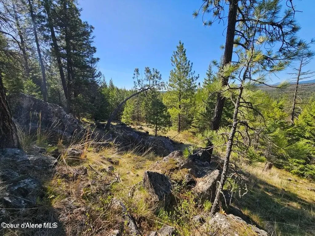 Nna N Sunset Hill Road Athol ID 83801