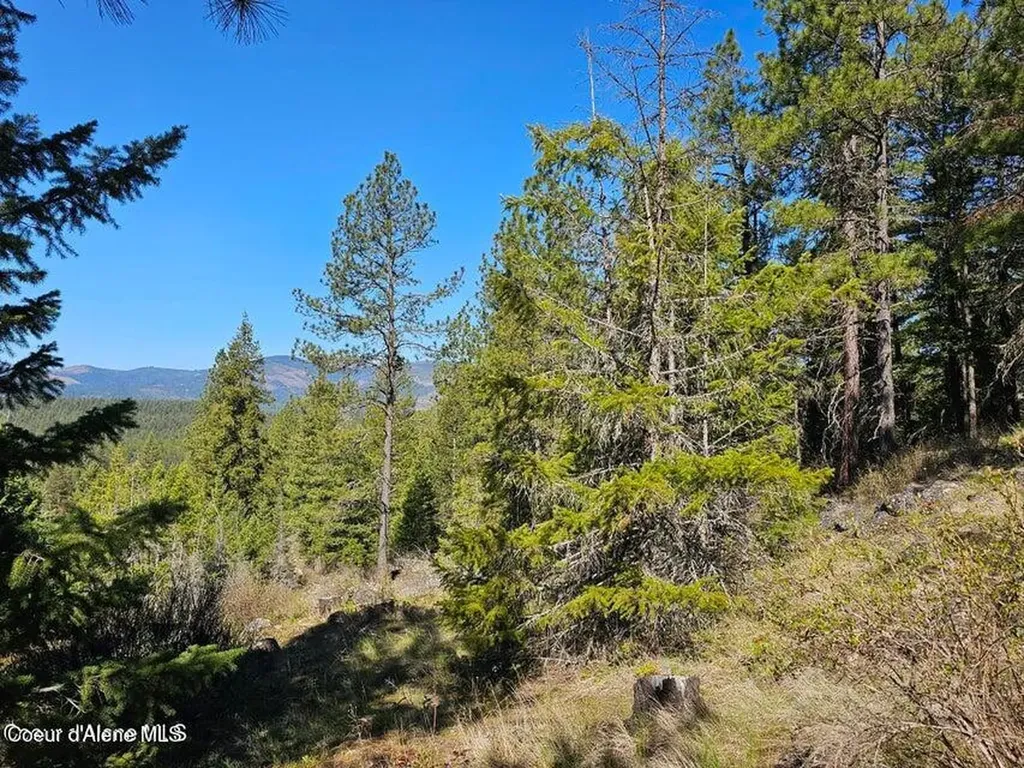 Nna N Sunset Hill Road Athol ID 83801