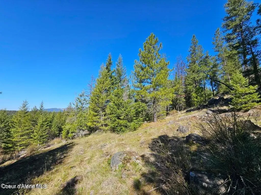 Nna N Sunset Hill Road Athol ID 83801