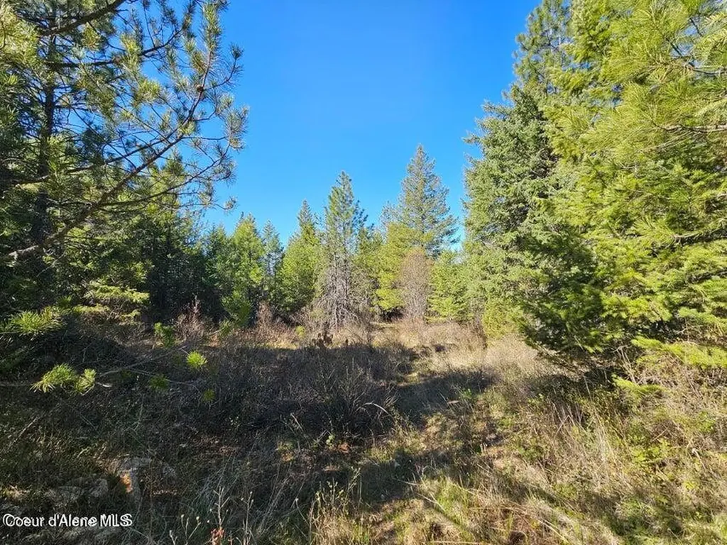 Nna N Sunset Hill Road Athol ID 83801
