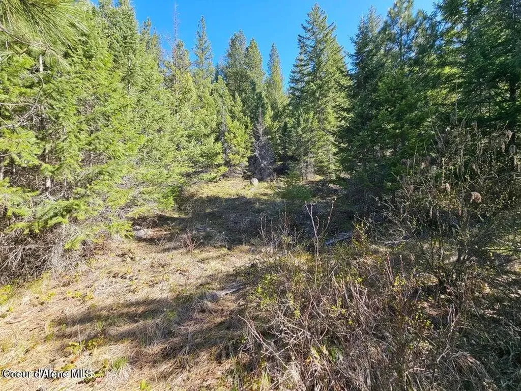 Nna N Sunset Hill Road Athol ID 83801