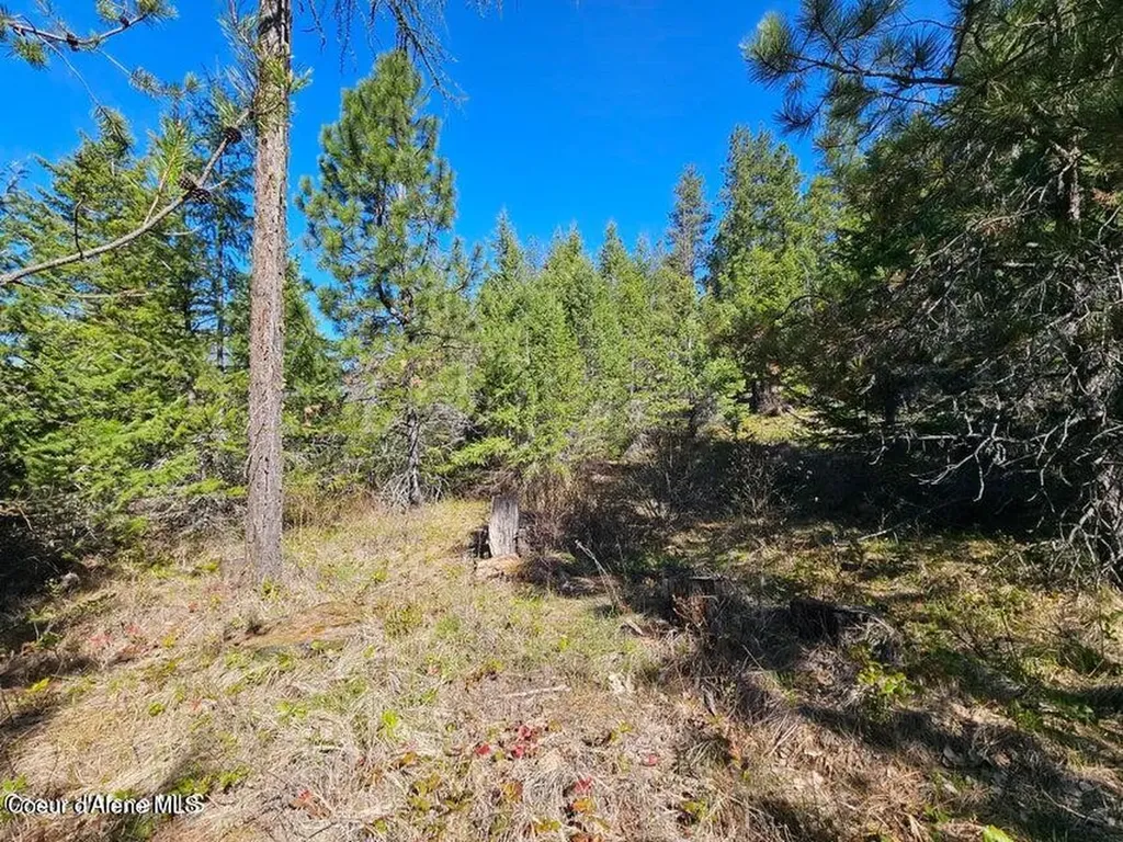 Nna N Sunset Hill Road Athol ID 83801