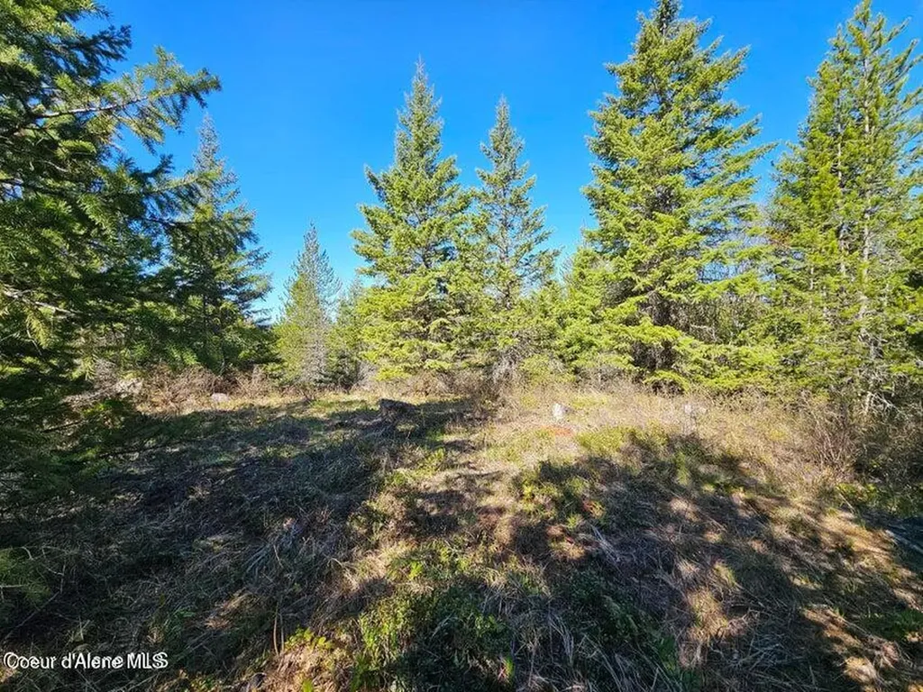 Nna N Sunset Hill Road Athol ID 83801