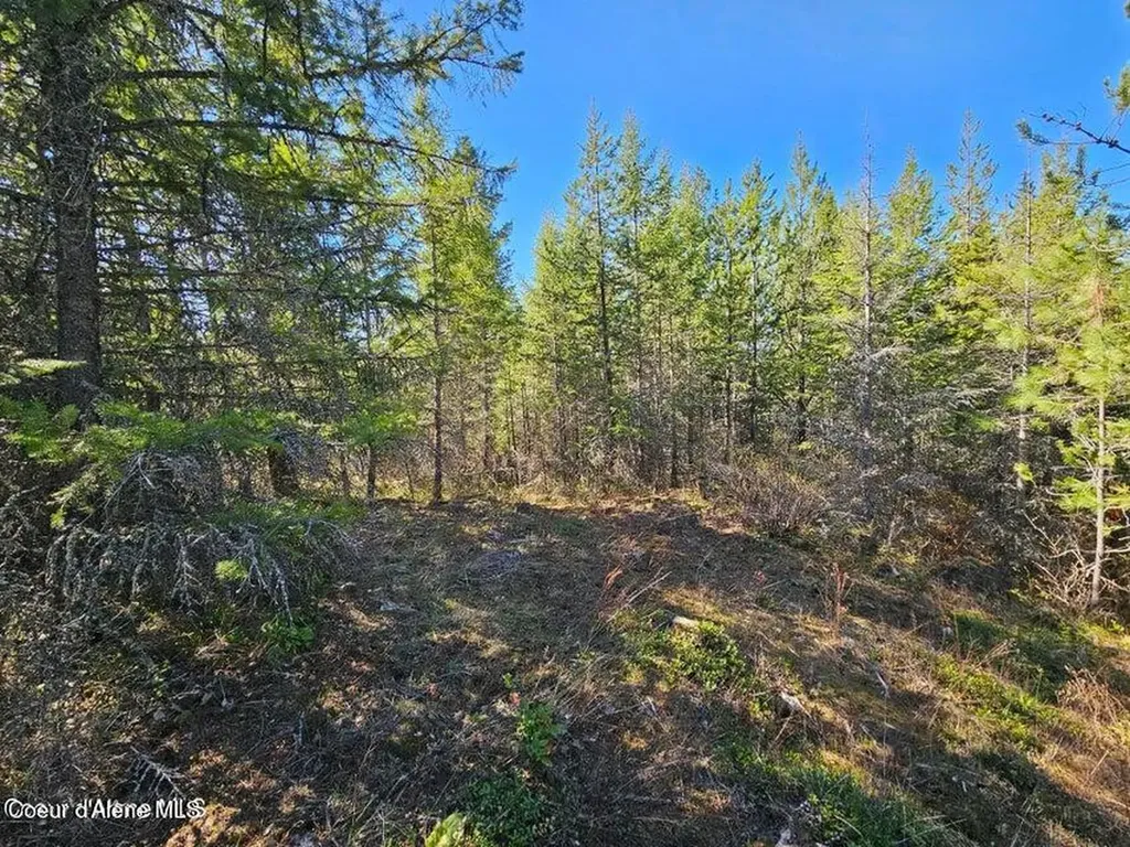 Nna N Sunset Hill Road Athol ID 83801