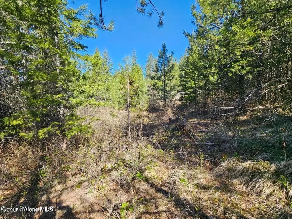Nna N Sunset Hill Road Athol ID 83801
