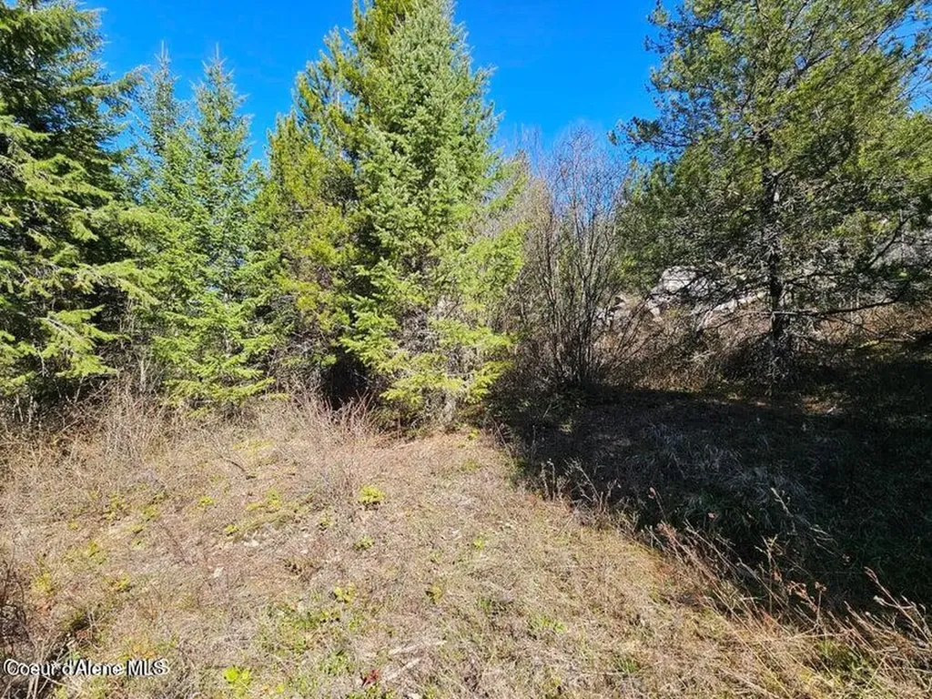 Nna N Sunset Hill Road Athol ID 83801