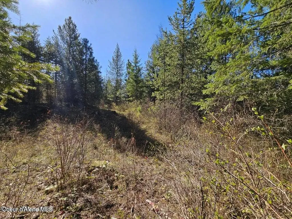 Nna N Sunset Hill Road Athol ID 83801