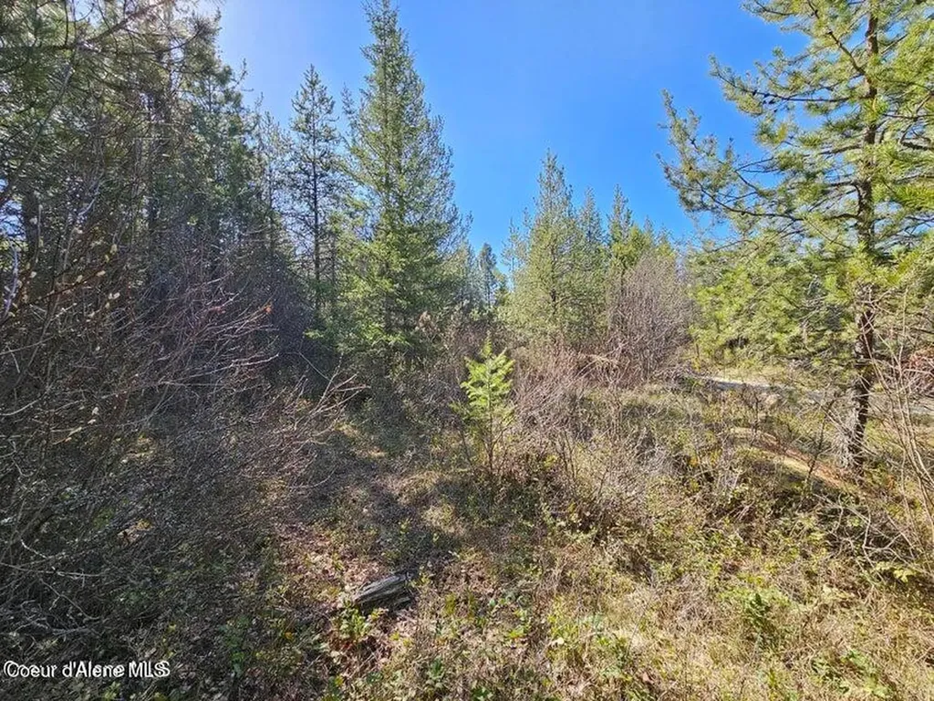 Nna N Sunset Hill Road Athol ID 83801