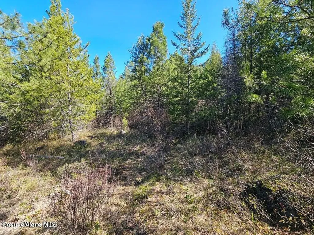 Nna N Sunset Hill Road Athol ID 83801