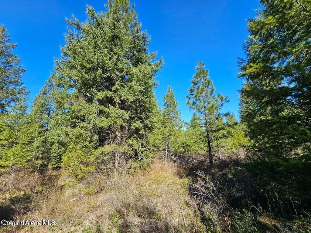 Nna N Sunset Hill Road Athol ID 83801