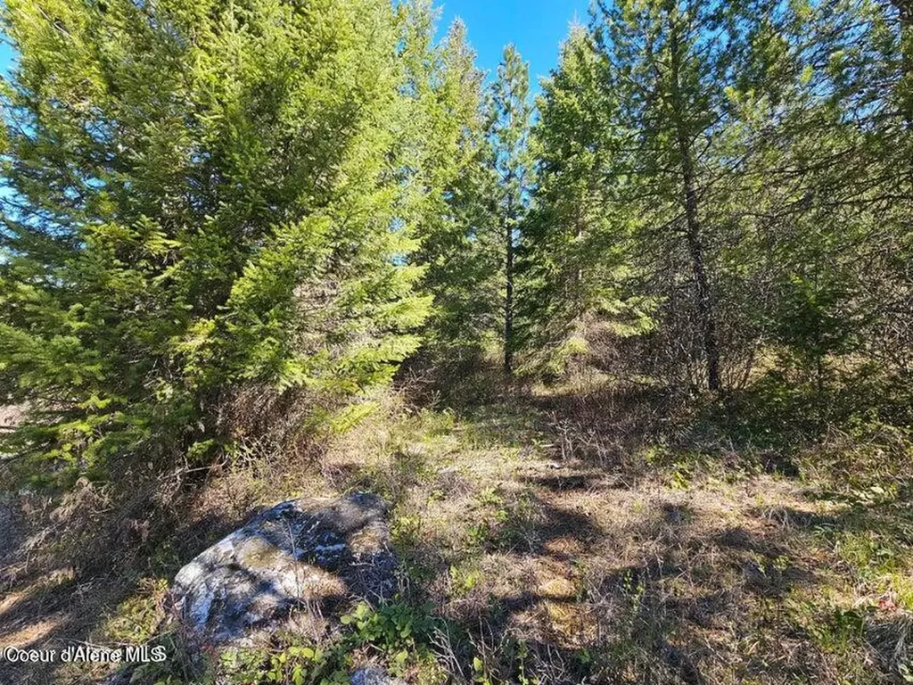 Nna N Sunset Hill Road Athol ID 83801