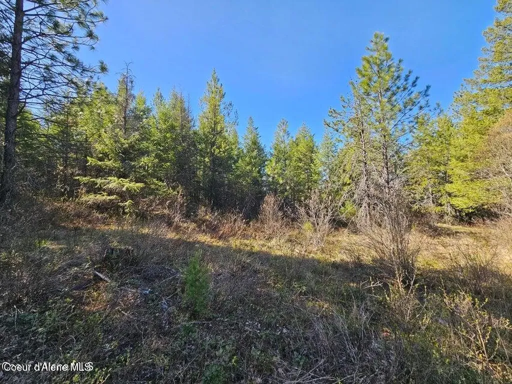 Nna N Sunset Hill Road Athol ID 83801