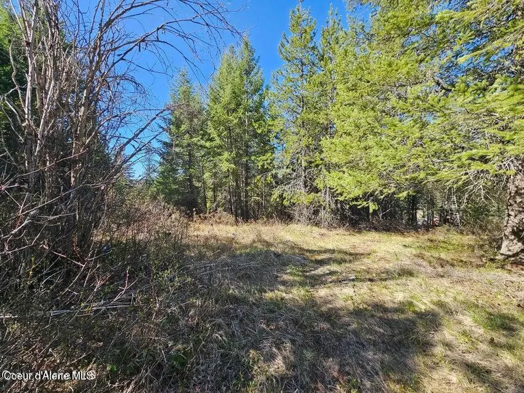 Nna N Sunset Hill Road Athol ID 83801