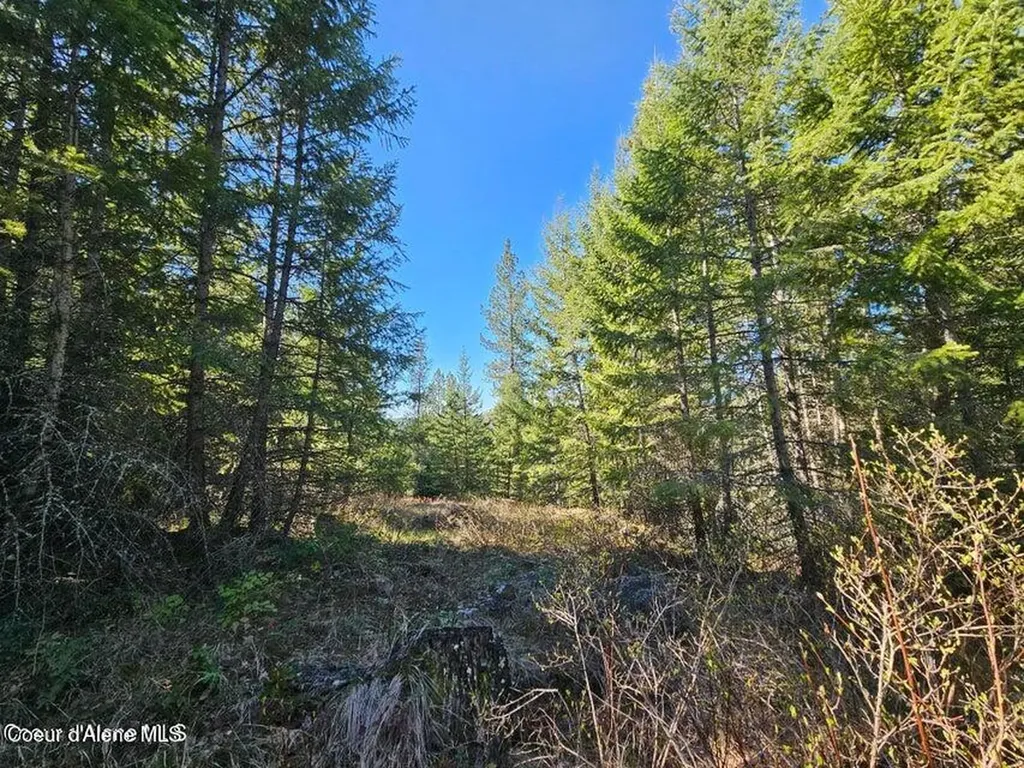 Nna N Sunset Hill Road Athol ID 83801