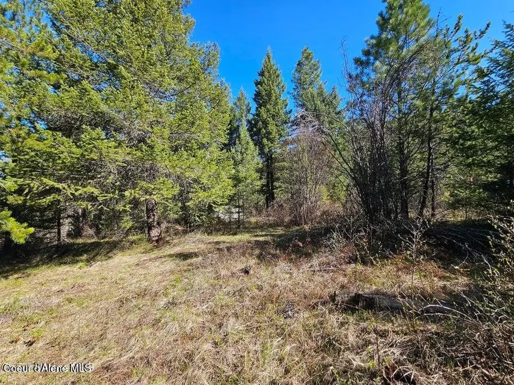 Nna N Sunset Hill Road Athol ID 83801