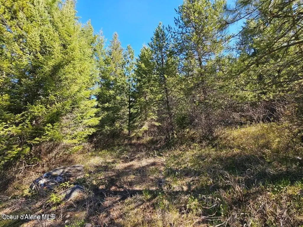 Nna N Sunset Hill Road Athol ID 83801