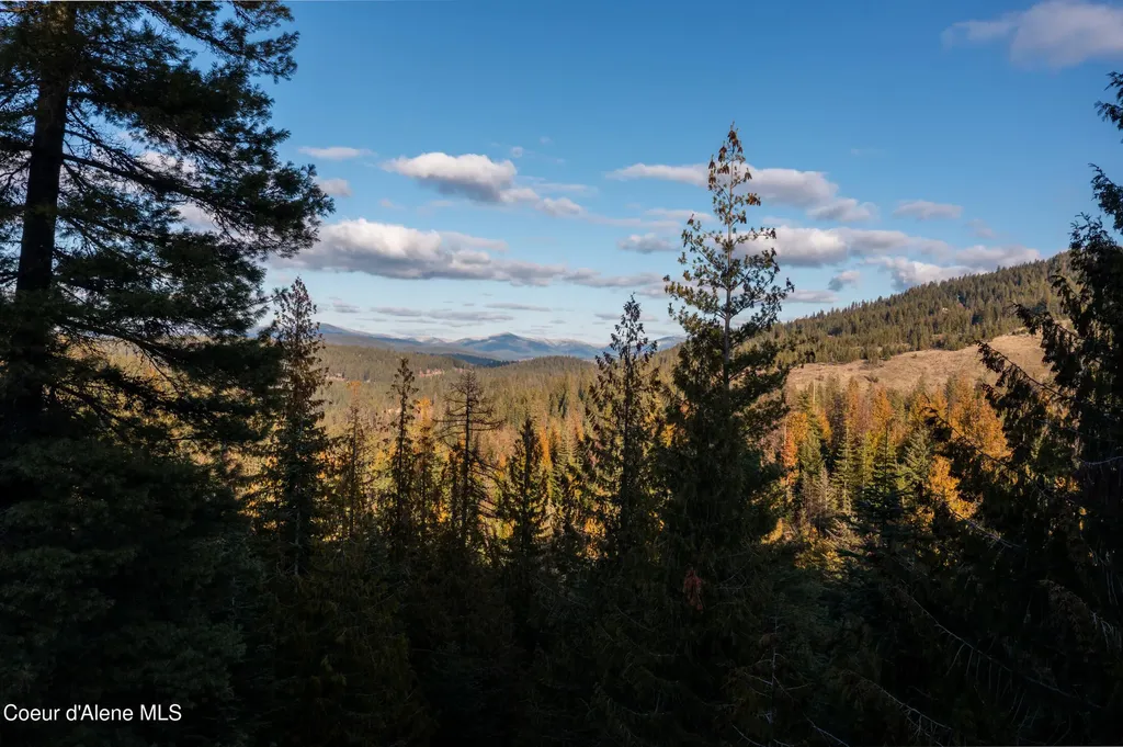 6946 E Burma Road 50ac Harrison ID 83833