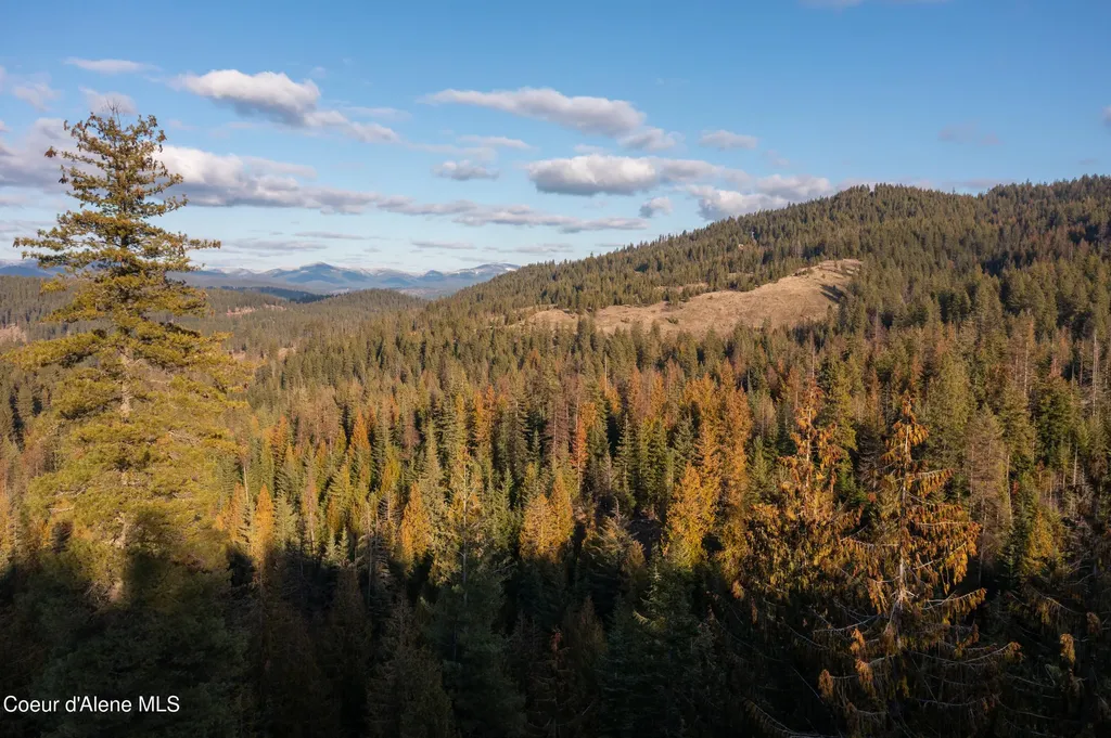 6946 E Burma Road 50ac Harrison ID 83833