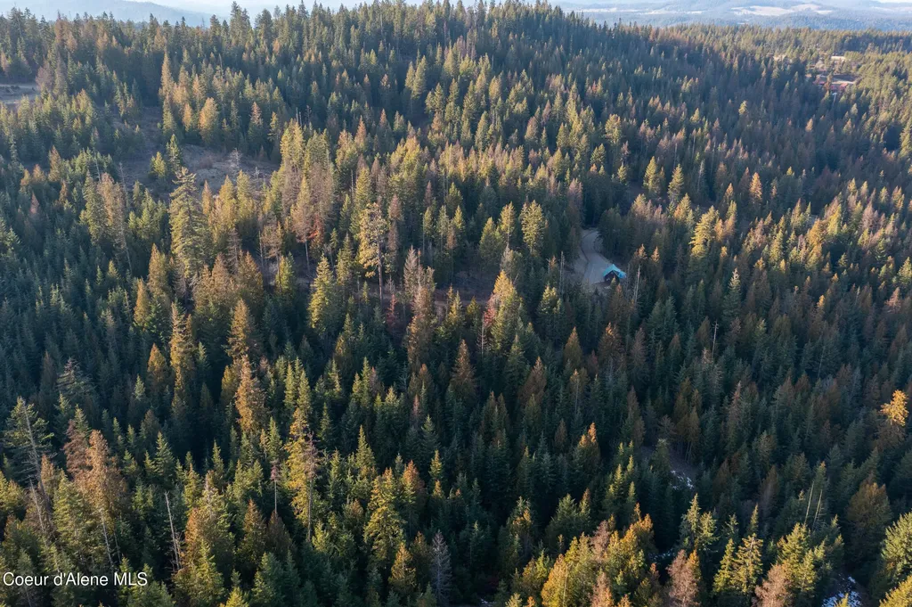 6946 E Burma Road 50ac Harrison ID 83833