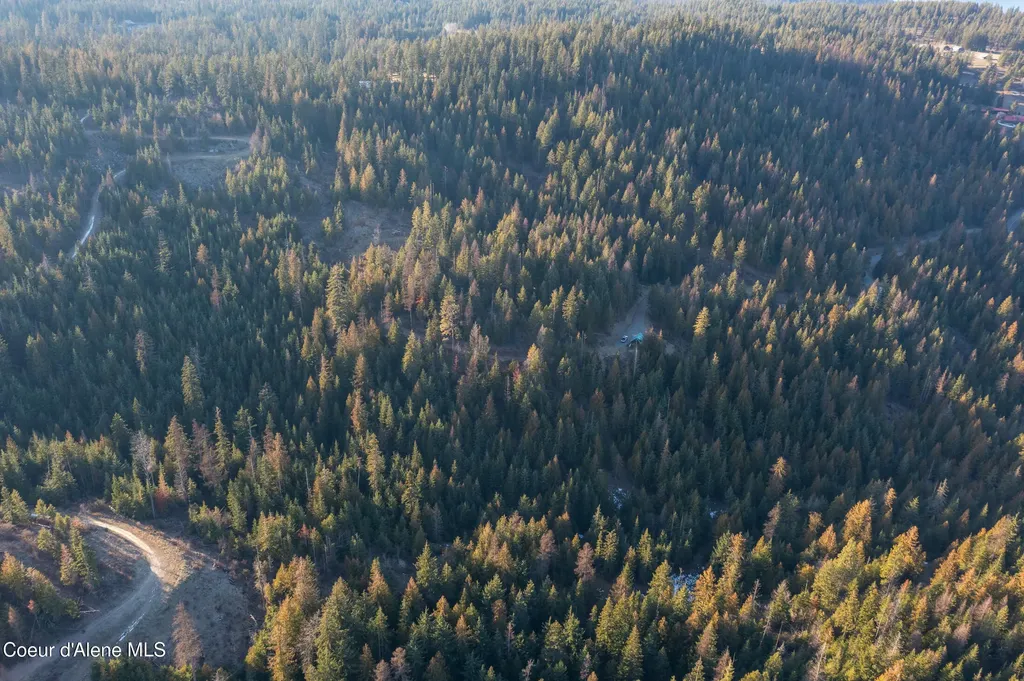 6946 E Burma Road 50ac Harrison ID 83833