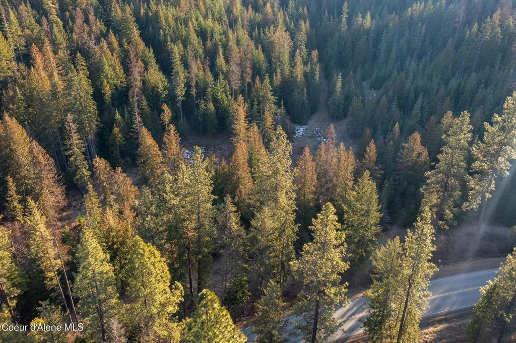 6946 E Burma Road 50ac Harrison ID 83833