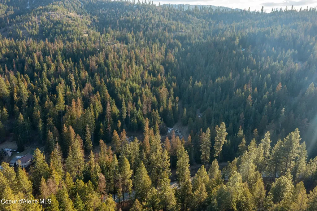 6946 E Burma Road 50ac Harrison ID 83833