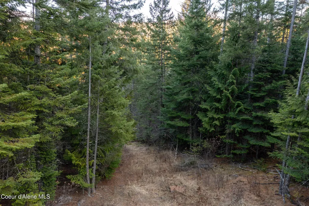 6946 E Burma Road 50ac Harrison ID 83833