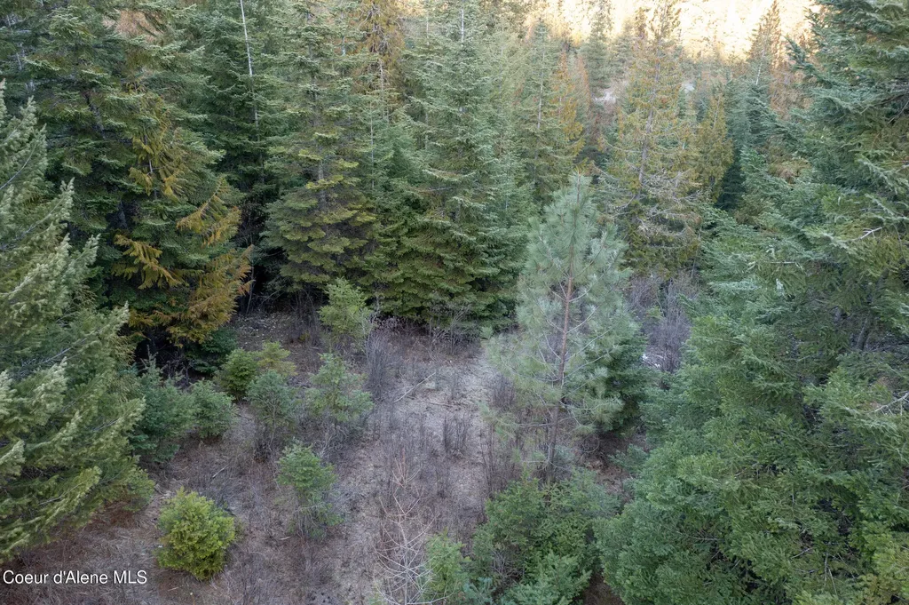 6946 E Burma Road 50ac Harrison ID 83833