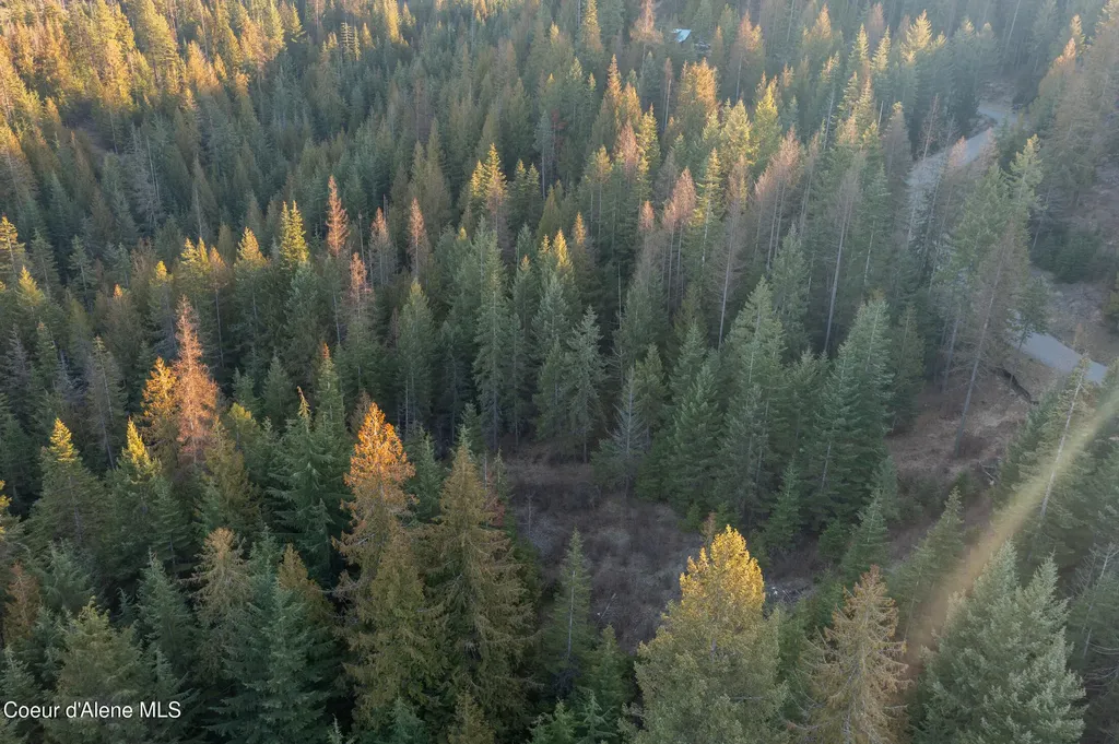 6946 E Burma Road 50ac Harrison ID 83833