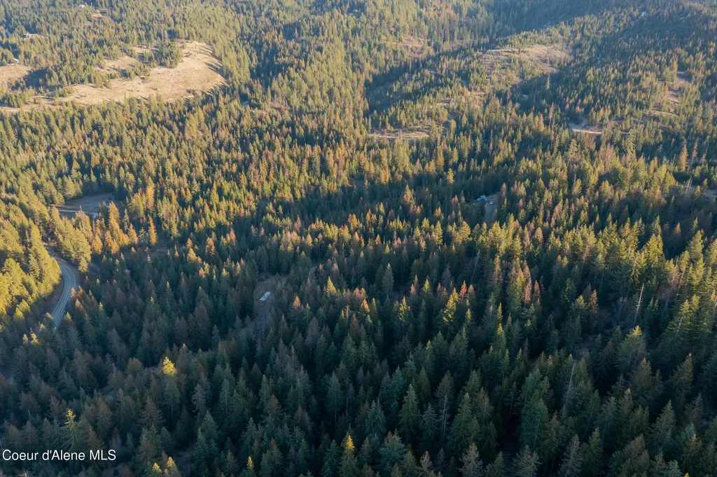 6946 E Burma Road 50ac Harrison ID 83833