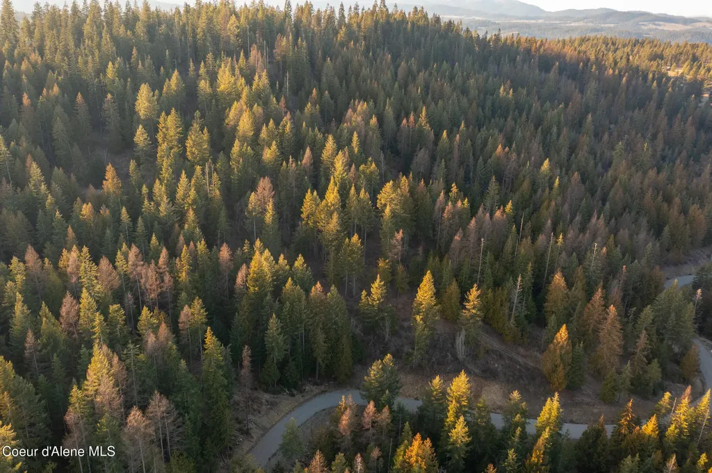 6946 E Burma Road 50ac Harrison ID 83833