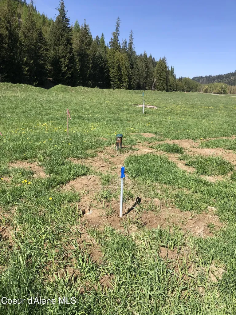 29 Horn Hooked Lane St. Maries ID 83861