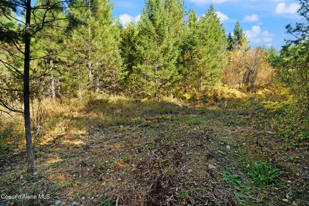 Nna Sunsetter Lane Lot 3 Cocolalla ID 83813