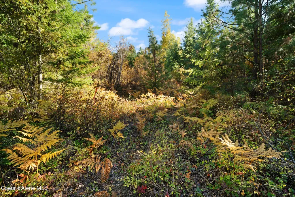 Nna Sunsetter Lane Lot 3 Cocolalla ID 83813