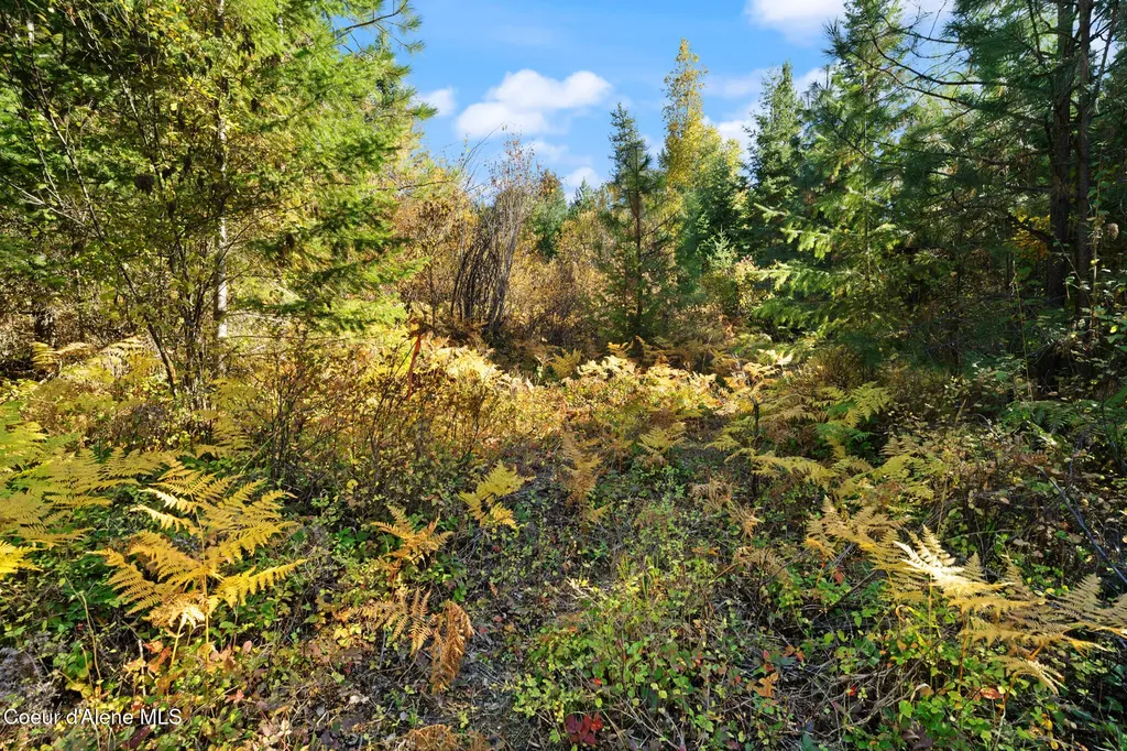 Nna Sunsetter Lane Lot 3 Cocolalla ID 83813