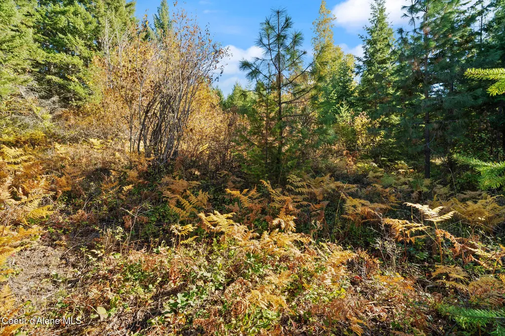 Nna Sunsetter Lane Lot 3 Cocolalla ID 83813