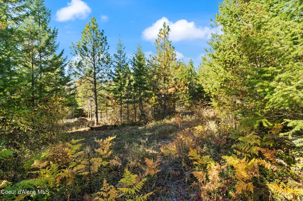 Nna Sunsetter Lane Lot 3 Cocolalla ID 83813