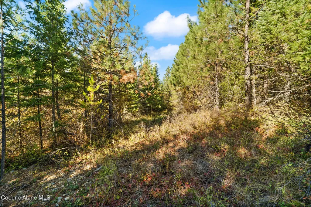 Nna Sunsetter Lane Lot 3 Cocolalla ID 83813