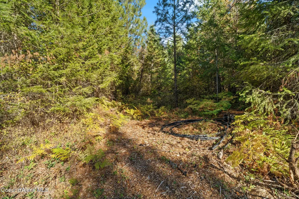 Nna Sunsetter Lane Lot 3 Cocolalla ID 83813