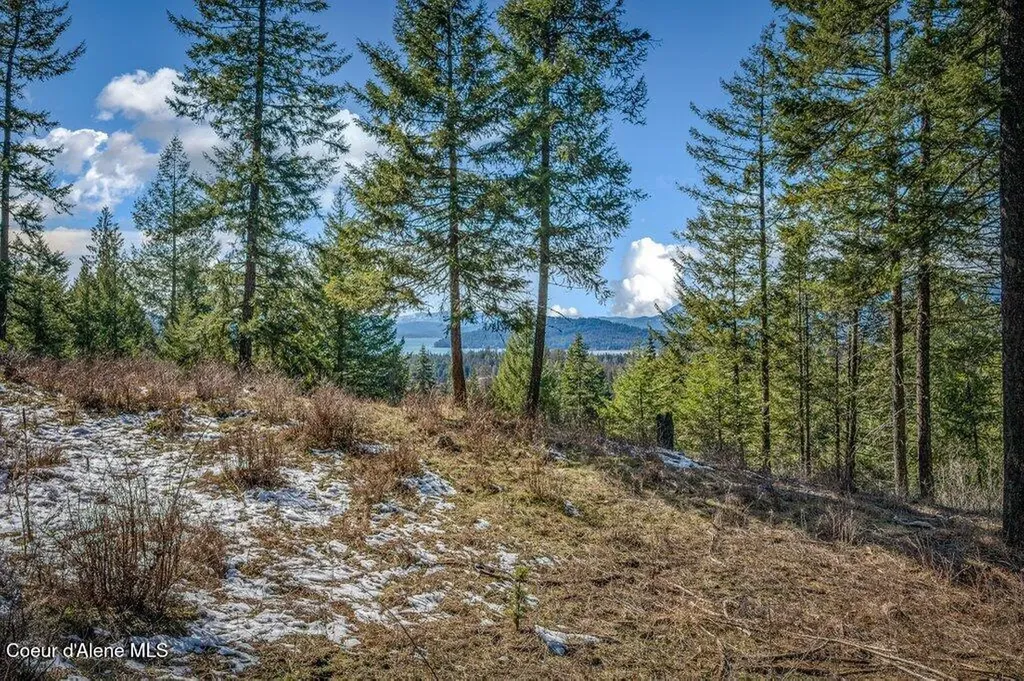 Nna S Idaho Club Dr C6 Sandpoint ID 83864