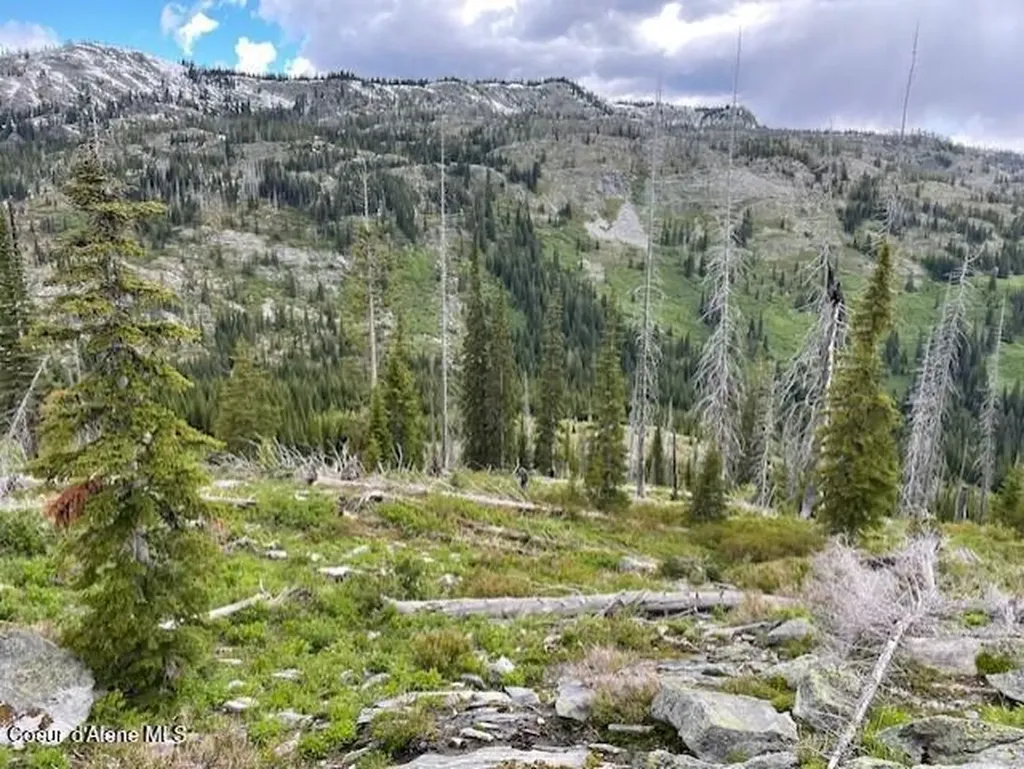N 320 Ac Shoot Creek Road Unincorporated ID 83525