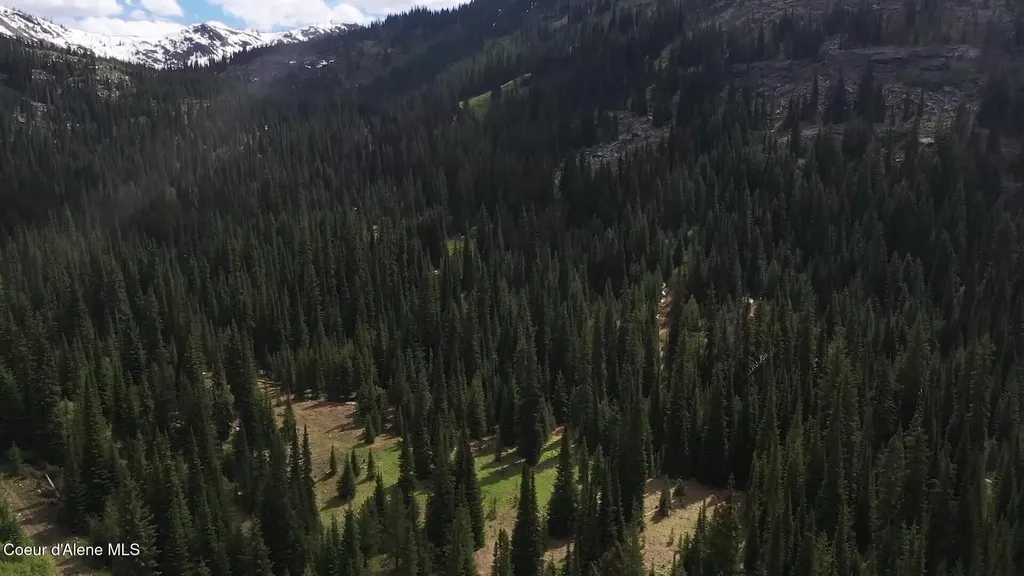 N 320 Ac Shoot Creek Road Unincorporated ID 83525