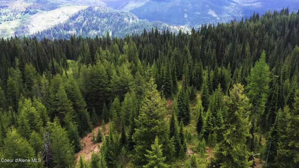 Nka 640 Ac Pack Creek Road Unincorporated ID 83525