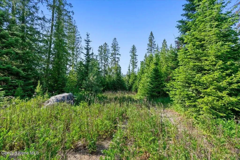 929 Irish Road Sagle ID 83860