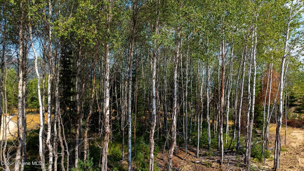 610 Government Gulch Road Smelterville ID 83868