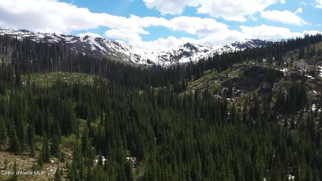 Nka 640 Ac Shoot Creek Road Unincorporated ID 83525