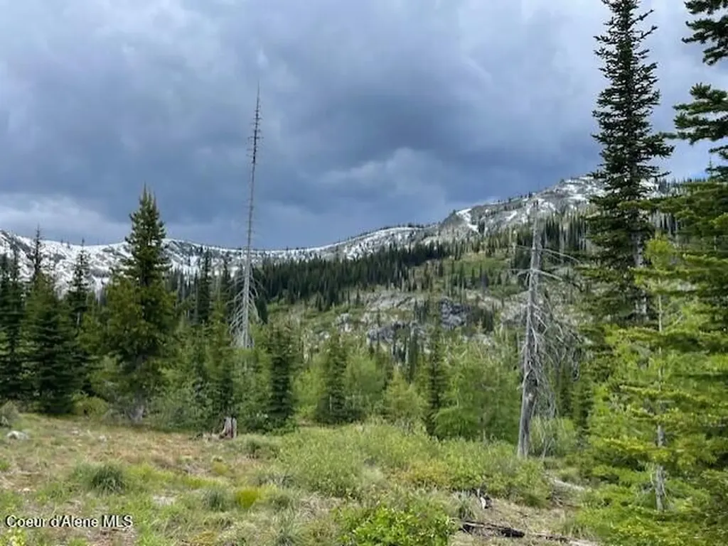 Nka 640 Ac Shoot Creek Road Unincorporated ID 83525