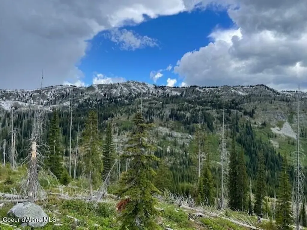 Nka 640 Ac Shoot Creek Road Unincorporated ID 83525
